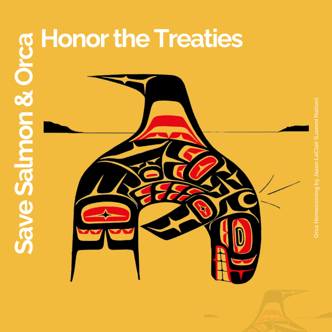Tribute to the Orca: Save Salmon & Orcas, Honor the Treaties